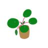 Immagine del profilo di Grassdener