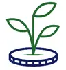 Profile picture of TFB Legacies Consulting
