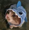 Profile picture of Eclipse
